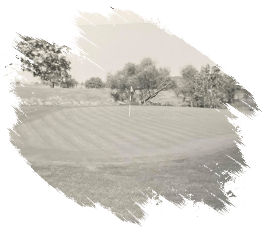 Lakeview CC History